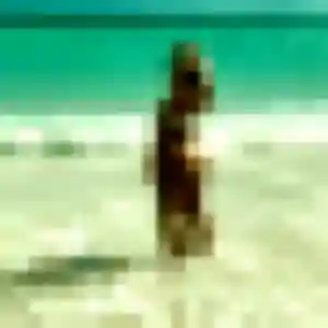 Agnes, 31 ans, cherche un plan cul à Bois-l'Évêque