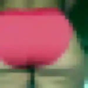 Photo exclusive de Angelique, 42 ans à Bollène - rencontre coquine