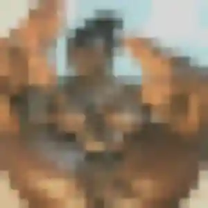 Photo de Sabrina à Bondues (34 ans) - plan cul anonyme
