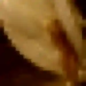 Photo perso de Brunehilde, 39 ans à Bonningues-lès-Ardres - plan discret