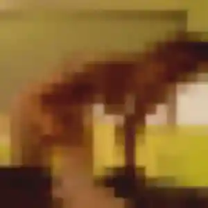Phoebe, 41 ans, cherche un plan cul à Boqueho