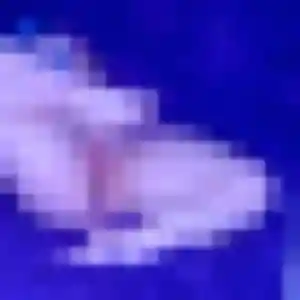 Charmante Chloe, 37 ans à Bouc-Bel-Air - découvrir son profil
