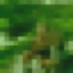 Photo sexy de Zina, 43 ans à Boucoiran-et-Nozières - rencontre coquine