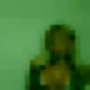 Imane, fille de 34 ans propose plan cul à Bouvignies