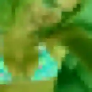Photo perso de Louisa, 31 ans à Bouzel - plan discret