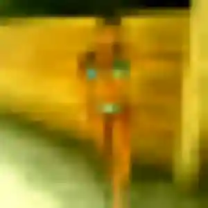 Photo privée de Rachel, 38 ans à Boynes - rencontre sans lendemain