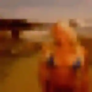 Ninon, 43 ans, dispo pour plan cul à Bray-Saint-Aignan