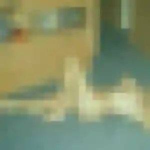 Xaviere, 44 ans, dispo pour plan cul à Bressolles