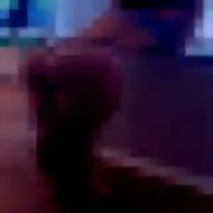 Amandine, fille de 43 ans cherche plan cul à Breuillet