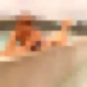 Photo de Djamila à Bruay-sur-l'Escaut (27 ans) - plan cul gratuit