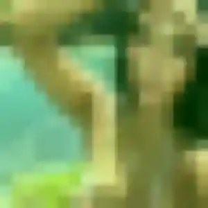 Sabine (43 ans) à Buire cherche une rencontre ce soir