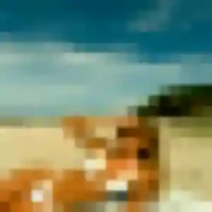 Photo privée de Paloma, 30 ans à Cambron - rencontre coquine