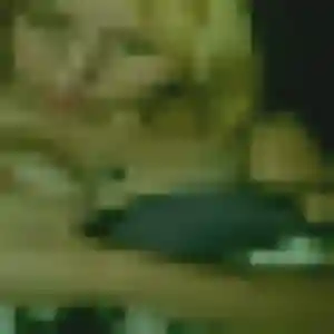 Daniela, 43 ans, disponible à Canaples pour une rencontre coquine