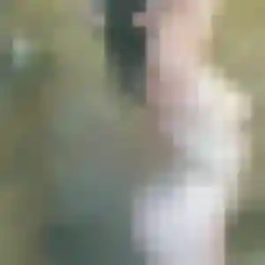 Sixtine, 35 ans, cherche un plan cul à Cassen