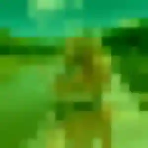 Photo perso de Nadine, 36 ans à Casson - rencontre coquine