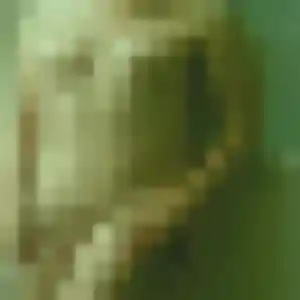 Elena, 30 ans, disponible à Castelnau-de-Montmiral pour un plan cul