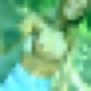 Contacte Olga, 35 ans à Castels et Bézenac gratuitement