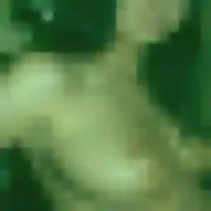 Charline, femme de 42 ans cherche plan cul à Causses-et-Veyran
