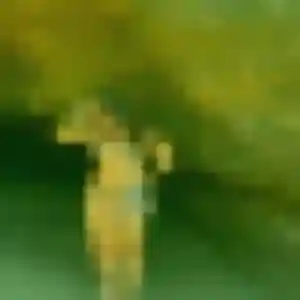 Photo exclusive de Magalie, 29 ans à Ceintrey - rencontre coquine