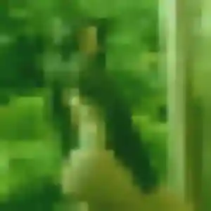 Thais, 38 ans, cherche un plan cul à Cessenon-sur-Orb