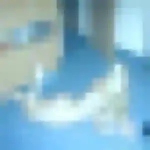 Jolie Ximena, 36 ans à Chabanais - la contacter