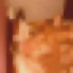 Photo sexy de Chiara, 23 ans à Châlette-sur-Loing - rencontre sans lendemain