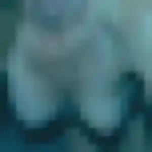 Lou-Anne, fille de 43 ans cherche plan cul à Chambourg-sur-Indre