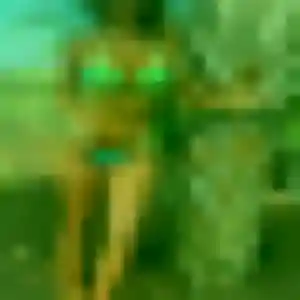 Photo sexy de Berenice, 39 ans à Champagnac-de-Belair - rencontre sans lendemain