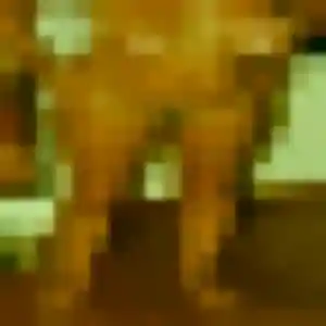 Profil de Siham à Champagne-au-Mont-d'Or (35 ans) - plan cul gratuit