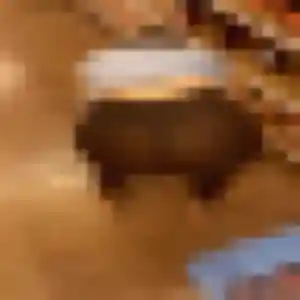 Leila, 22 ans, en ligne à Champdor-Corcelles pour une rencontre coquine