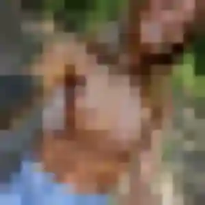 Sexy Justine, 29 ans à Champdôtre - découvrir son profil