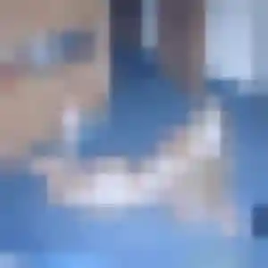 Sara, 25 ans, en ligne à Champhol pour une rencontre coquine