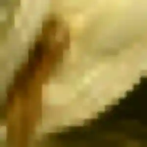Ximena de Champigny-en-Beauce, 44 ans - plan cul sans lendemain