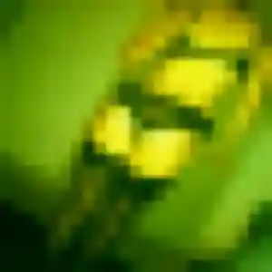 Profil de Daniela à Chars (28 ans) - plan cul anonyme