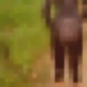 Imane, 41 ans, connectée à Châtillon-sur-Marne pour un plan cul