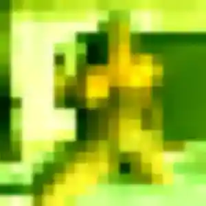 Sexy Zelda, 26 ans à Chaumes-en-Brie - voir sa photo