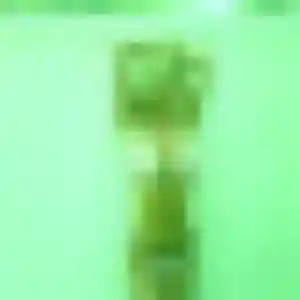Photo de Malika à Chemiré-le-Gaudin (44 ans) - plan cul discret