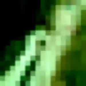 Jolie Apolline, 45 ans à Clairvaux-les-Lacs - découvrir son profil