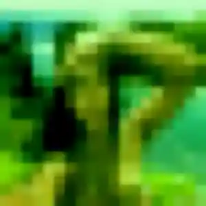 Photo exclusive de Sylvie, 22 ans à Condat-sur-Ganaveix - rencontre coquine
