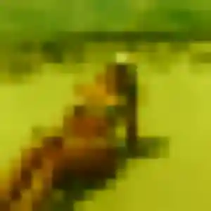 Elise, fille de 30 ans cherche plan cul à Condezaygues