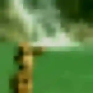 Profil de Nathalie à Coquelles (37 ans) - plan cul discret