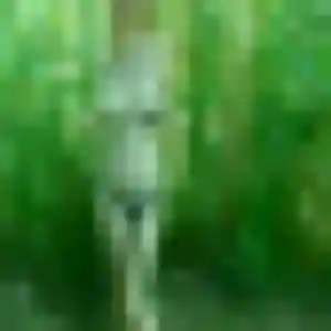 Photo exclusive de Hyacinthe, 44 ans à Cormeilles-en-Parisis - plan discret