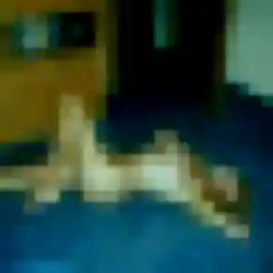 Photo exclusive de Apolline, 41 ans à Cormoz - plan discret