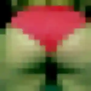 Sara (31 ans) à Cornille cherche un plan cul maintenant