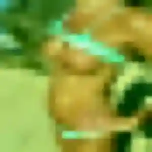 Marie-France, 43 ans, cherche un plan cul à Corsept