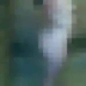 Photo privée de Graziella, 38 ans à Courcoury - rencontre sans lendemain