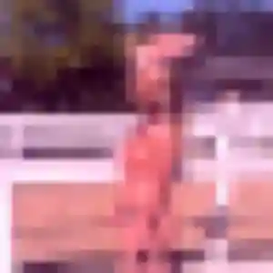 Contacte Isabella, 45 ans à Cramoisy en privé