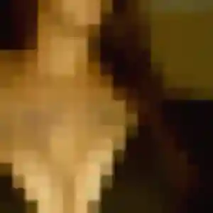 Profil de Olivia à Cramoisy (23 ans) - plan cul anonyme