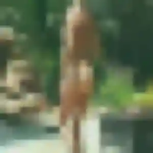 Benedicte, femme de 39 ans cherche plan cul à Crécy-sur-Serre