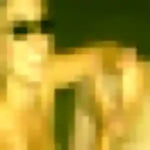 Photo sexy de Lena, 44 ans à Crouy - rencontre coquine